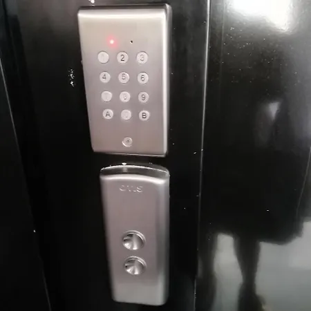 Amaryllis - Au Coeur De La ! Mae-8144 *