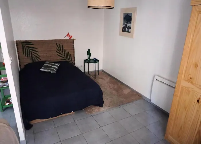 Amaryllis - Agreable Au Coeur De La ! Mae-8144 *