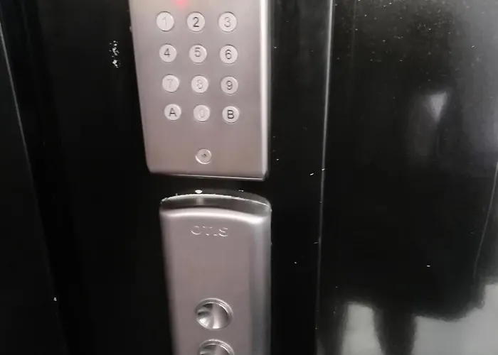 Amaryllis - Agreable Au Coeur De La ! Mae-8144 *